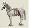 Picture of EQUINE MAINTAVET SCROTUM STRAP - Large Foal