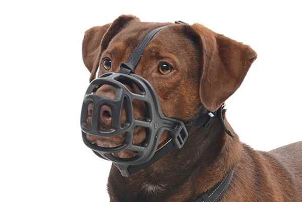 Picture of MUZZLE BUSTER EXTREME BASKET STYLE Size 5 (272355)