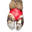 Picture of HOOF BANDAGE Bovivet Red X Large (220420) - 10/pk