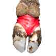 Picture of HOOF BANDAGE Bovivet Red X Large (220420) - 10/pk