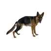 Picture of REHAB DOG KNEE PROTECTOR Kruuse RIGHT - XX Small