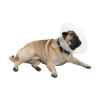 Picture of BUSTER COLLAR for BRACHYCEPHALIC BREEDS TRANSPARENT - Large