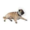 Picture of BUSTER COLLAR for BRACHYCEPHALIC BREEDS TRANSPARENT - Large