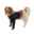 Show details for BUSTER BODY SLEEVE with FRONT LEGS - XX Small Picture of BUSTER BODY SLEEVE with FRONT LEGS - XX Small