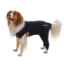 Show details for BUSTER BODY SLEEVE with HIND LEGS - X Small Picture of BUSTER BODY SLEEVE with HIND LEGS - X Small