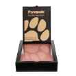 Picture of PAWPALS PAW PRINT KEEPSAKE KIT-  Standard