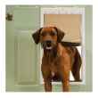 Picture of PETSAFE PET DOOR PLASTIC X-Large - 17.375in x 2in x 30in
