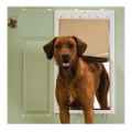 Picture of PETSAFE PET DOOR PLASTIC X-Large - 17.375in x 2in x 30in