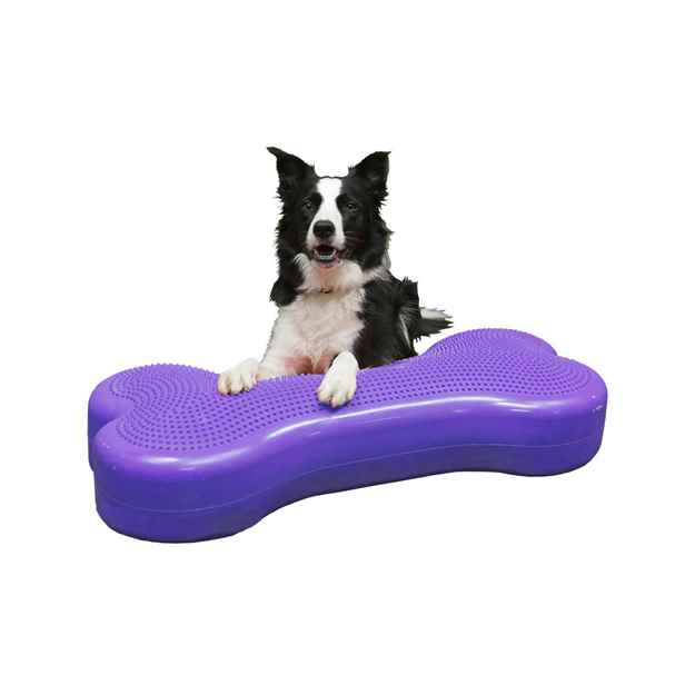 Picture of FITPAWS CANINE FITBone Giant Violet - 35.5in x 15.7in x 5.5in