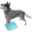 Show details for FITPAWS CANINE RAMP Aqua Picture of FITPAWS CANINE RAMP Aqua