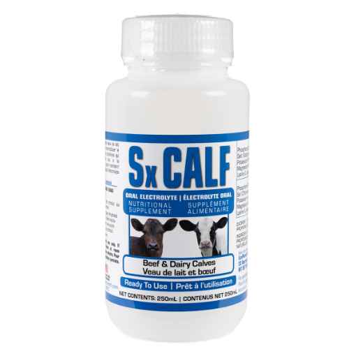 Picture of Sx CALF ORAL ELECTROLYTE NUTRITIONAL SUPPLEMENT - 250ml(so)