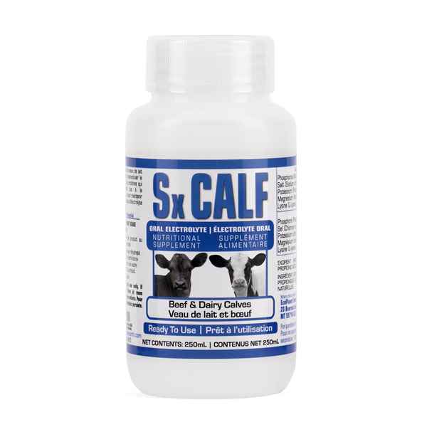 Picture of Sx CALF ORAL ELECTROLYTE NUTRIONAL SUPPLEMENT - 250ml