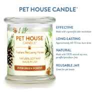 Picture of CANDLE PET HOUSE  One Fur All  Evergreen Forest - 9oz