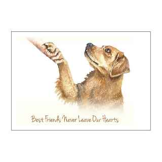 Picture of SYMPATHY CARDS W/ENV for BEST FRIENDS - NO VERSE - 25/pk