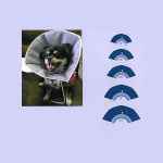 Picture of FLEXY E COLLAR Dog 8in  Large (J1095D) - 5/pk