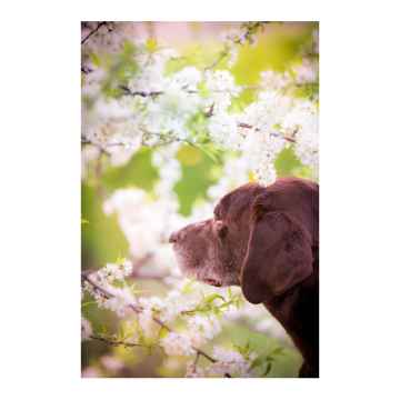 Show details for SYMPATHY CARDS W/ENV Season Change  5in x 7in - 10/pk Picture of SYMPATHY CARDS W/ENV Season Change  5in x 7in - 10/pk