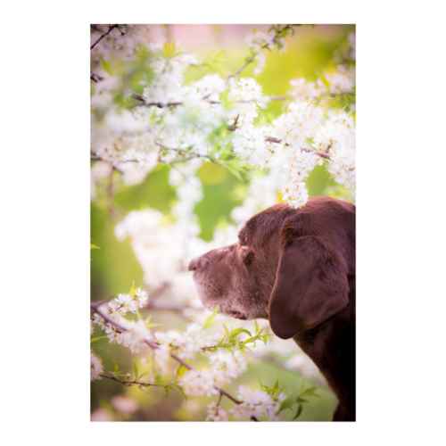 Picture of SYMPATHY CARDS W/ENV Season Change  5in x 7in - 10/pk