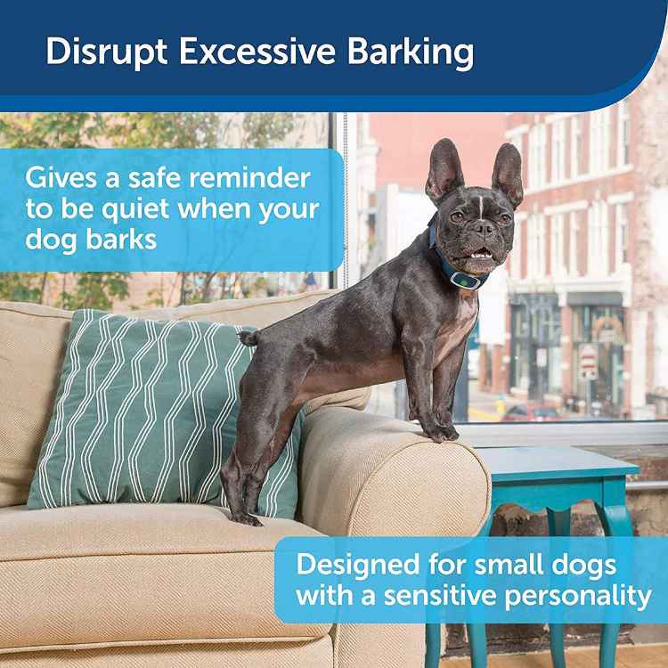 Picture of PETSAFE BARK CONTROL COLLAR LITE Rechargeable 15 levels