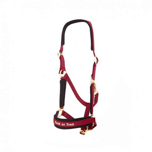 Picture of BACK ON TRACK WERANO HALTER WINE RED COB