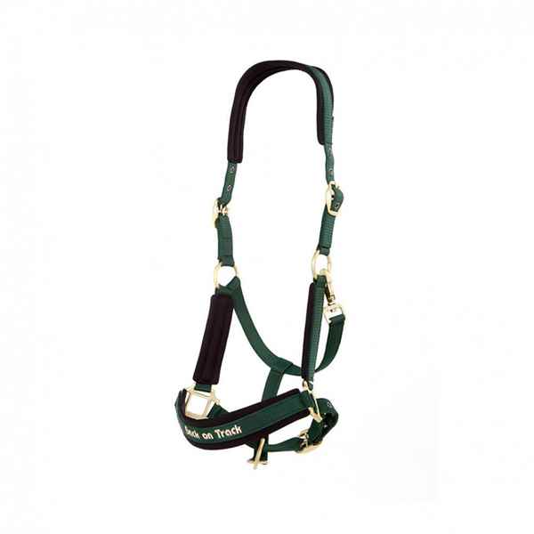 Picture of BACK ON TRACK WERANO HALTER GREEN COB