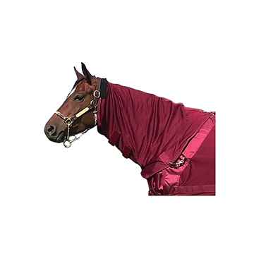 Picture of BACK ON TRACK MESH RUG w/ HOOD WINE RED 81in