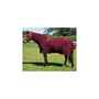 Picture of BACK ON TRACK MESH RUG DELUXE w/ HOOD WINE RED 81in