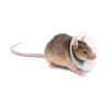 Picture of SAF-T-SHIELD COLLAR for RODENTS Circumference 1in-1.25in Diameter 2in