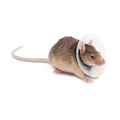 Picture of SAF-T-SHIELD COLLAR for RODENTS Circumference 3in-4in Diameter 4.25in