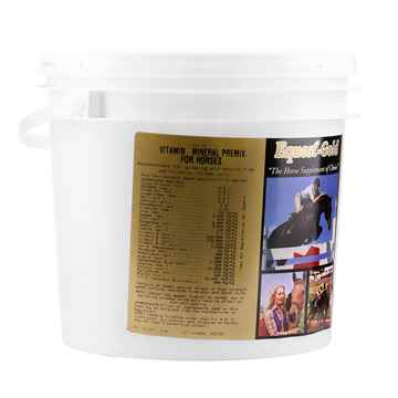Picture of EQUEST GOLD HORSE - 4kg