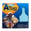 Picture of ALLFLEX  A-TAG CALF V2 one piece BLUE BLANK - 25/bag