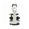 Picture of MICROSCOPE  REVELATION III LED BINOCULAR  (J0334ABC)