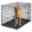 Show details for PRECISION PROVALU 5000 WIRE CRATE 2 door - 42in x 28in x 30in Picture of PRECISION PROVALU 5000 WIRE CRATE 2 door - 42in x 28in x 30in