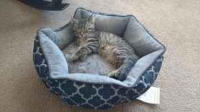 Picture for category Miscellaneous