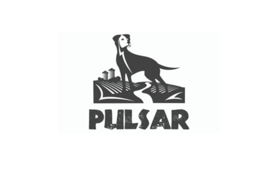 Picture for category Pulsar