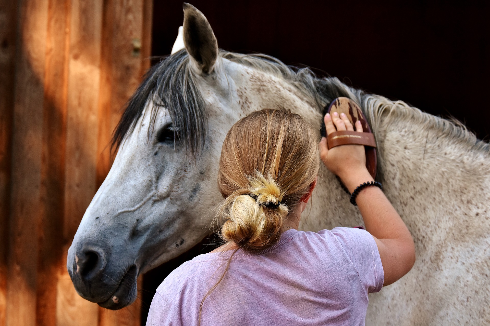 Picture for category Equine Retail