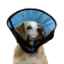 Show details for CALMER COLLAR KVP - Small Picture of CALMER COLLAR KVP - Small