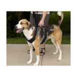 Picture of HARNESS CANINE EASYSPORT Petsafe Black - Medium