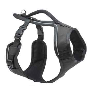 Picture of HARNESS EASYSPORT Petsafe Small - Black