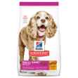 Picture of CANINE SCIENCE DIETSMALL PAWS 11+ CHICKEN BARLEY & RICE - 4.5lb / 2.04kg