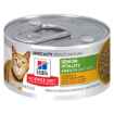 Picture of Feline Science Diet Adult 7+ Senior Vitality Chick & Veg Stew - 24x2.9oz Cans