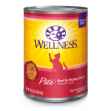 Picture of FELINE WELLNESS GF Pate Beef & Chicken Dinner - 12 x 12.5oz cans