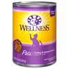 Picture of FELINE WELLNESS GF Pate Turkey & Salmon Entree - 12 x 12.5oz cans
