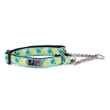 Picture of COLLAR RC Training Adjustable Pineapple Parade - 5/8in x 7-9in