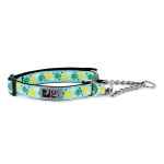 Picture of COLLAR CANINE RC Training Adjustable Pineapple Parade - 5/8in x 7-9in