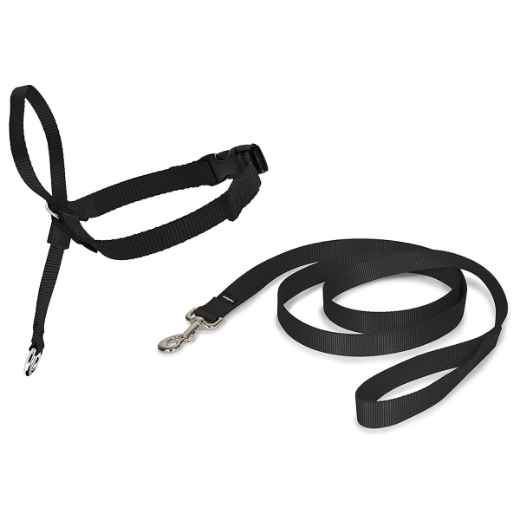 Picture of EASY WALK CANINE HEADCOLLAR PETSAFE Black - Large