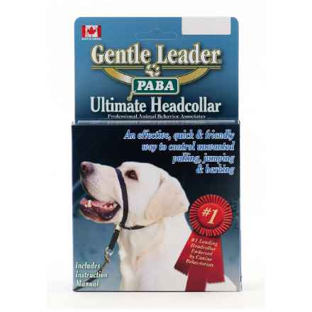 Picture of GENTLE LEADER CANINE ADJUSTABLE HEADCOLLAR Black - Small