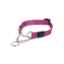 Show details for COLLAR CANINE ROGZ LUMBERJACK OBEDIENCE HALF CHECK Pink - 1in x 18-27.5in Picture of COLLAR CANINE ROGZ LUMBERJACK OBEDIENCE HALF CHECK Pink - 1in x 18-27.5in