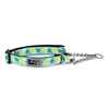 Picture of COLLAR RC Training Adjustable Pineapple Parade - 3/4in x 9-14in