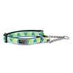 Picture of COLLAR RC Training Adjustable Pineapple Parade  - 1in x 14-20in