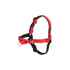 Picture of EASY WALK DELUXE NO PULL HARNESS Large - Rose Red